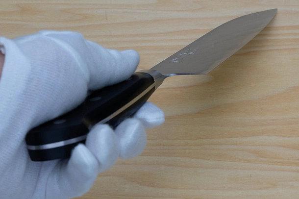 Tetsuhiro Blue steel 2 Santoku knife 170mm (6.7") Black paper micarta